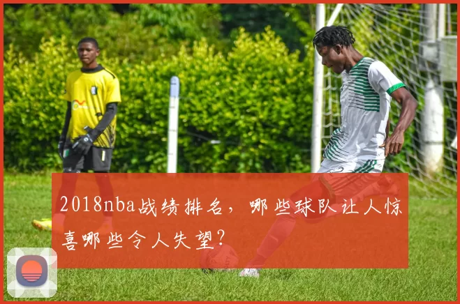 2018nba战绩排名，哪些球队让人惊喜哪些令人失望？