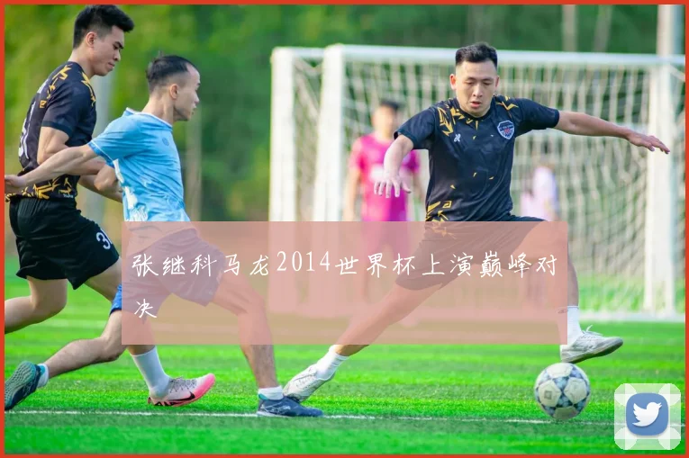 张继科马龙2014世界杯上演巅峰对决