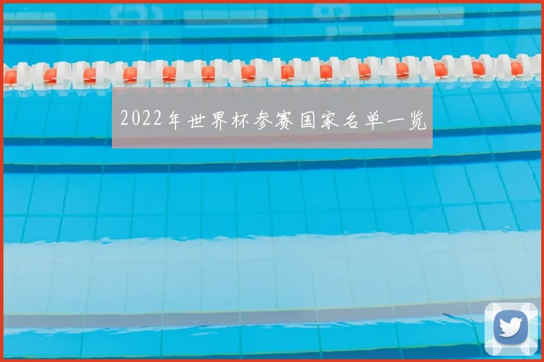 2022年世界杯参赛国家名单一览