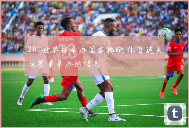 201世界杯举办国家揭晓 体育迷关注赛事举办地信息