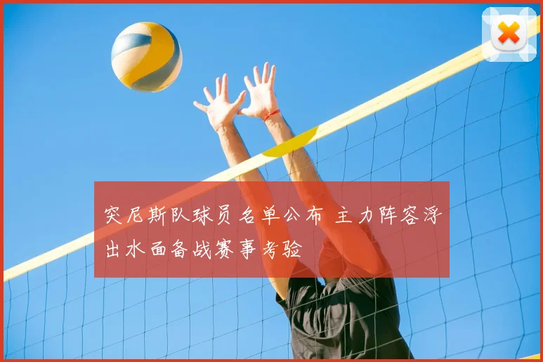 突尼斯队球员名单公布 主力阵容浮出水面备战赛事考验