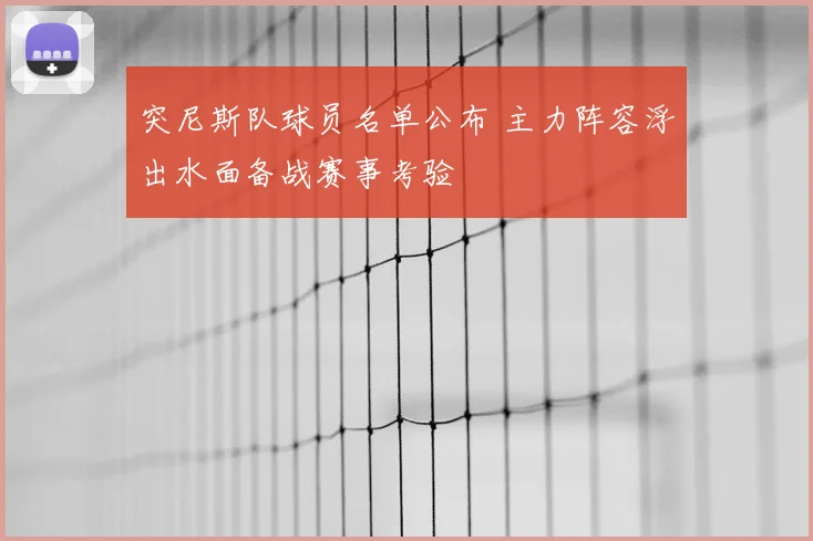 突尼斯队球员名单公布 主力阵容浮出水面备战赛事考验