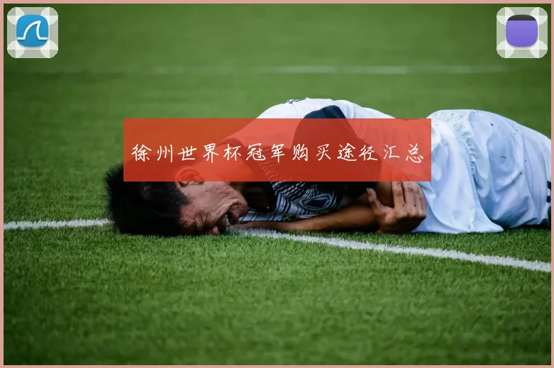 徐州世界杯冠军购买途径汇总