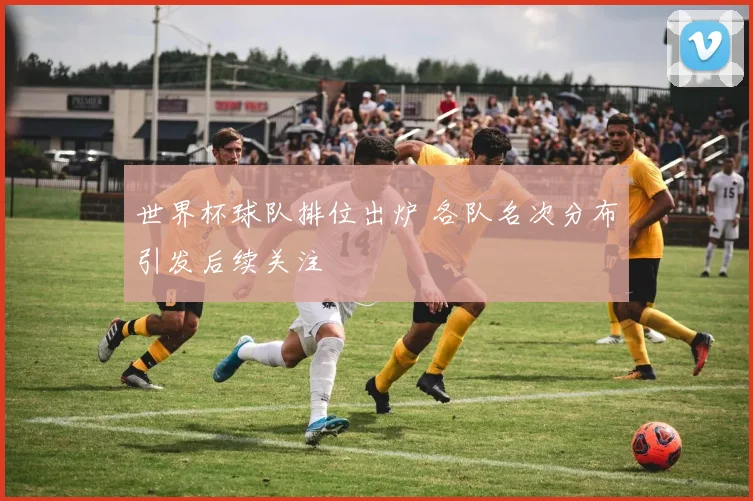 世界杯球队排位出炉 各队名次分布引发后续关注